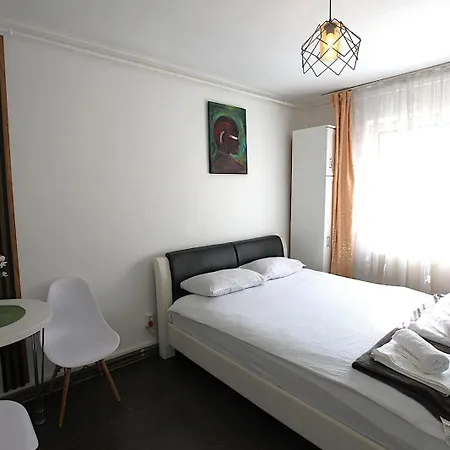 Casa Tudor Rareș-3